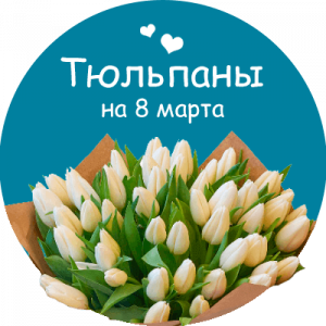 Купить тюльпаны в Кировском